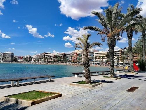 Apatrament Torrevieja