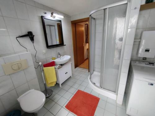 a bathroom with a shower and a toilet and a sink at Gemütliche Bauernkate für 4 mit Kachelofen in Lelkendorf