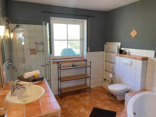 a bathroom with a sink and a shower and a toilet at Chiemgauer Ferienhaus in Siegsdorf