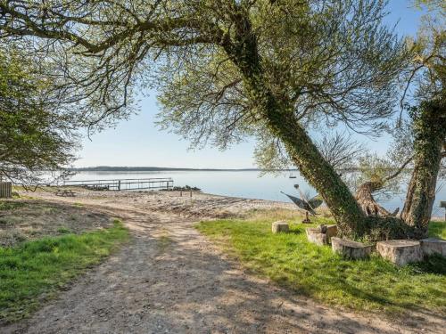 a dirt road next to a beach with a tree at Holiday Home Ermelinda - 900m to the inlet in SE Jutland by Interhome in Nordborg