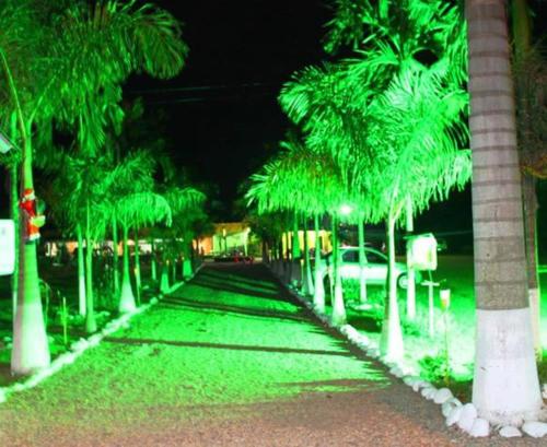 a palm tree lined street at night with a car at Hotel Rosalinda Campestre del Llano in Villavicencio