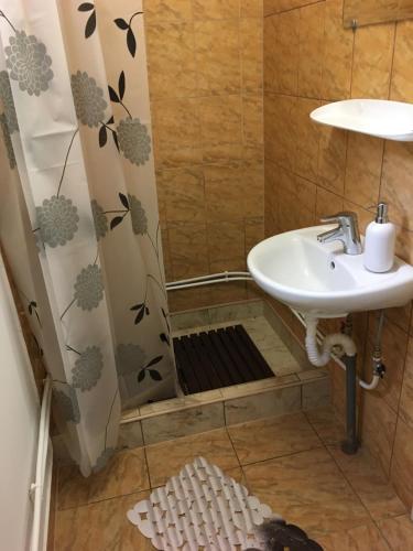 Un baño de Hegyi-lak vendégház