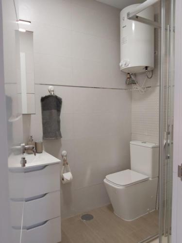 聖塞巴斯蒂安德洛斯雷耶斯的住宿－Acogedor estudio en San Sebastián，白色的浴室设有卫生间和水槽。