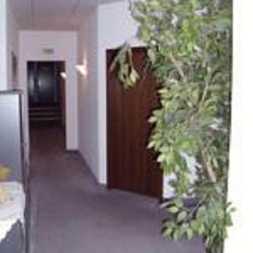 Φωτογραφία από το άλμπουμ του Pension Waldidyll σε Stützerbach