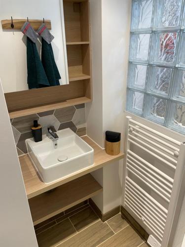 ein Bad mit einem Waschbecken und einem Fenster in der Unterkunft Appartement du lion in Belfort
