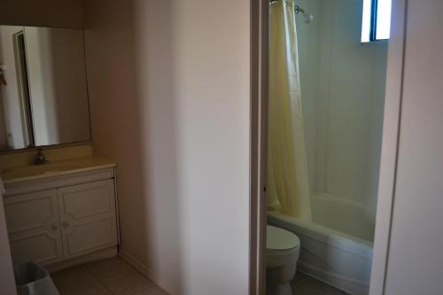 a bathroom with a toilet and a sink and a tub at Lighthouse Motel in Walkerton