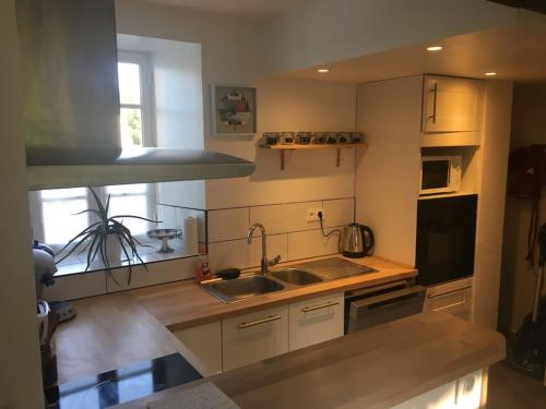uma cozinha com um lavatório e um fogão forno superior em Maison de village et jardin , à Mornac sur Seudre em Mornac-sur-Seudre