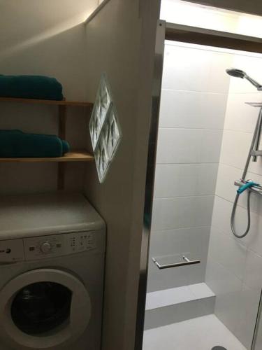 La salle de bains est pourvue d'un lave-linge et d'une douche. dans l'établissement Maison de village et jardin , à Mornac sur Seudre, à Mornac-sur-Seudre