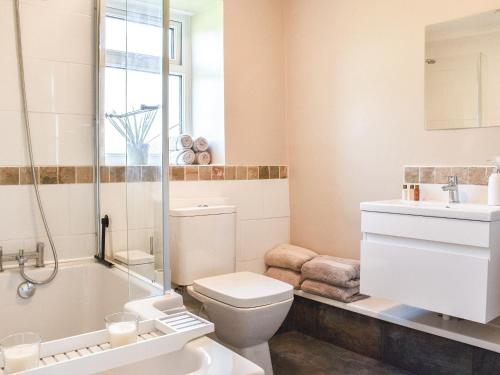 a bathroom with a toilet and a shower and a sink at Meadow Cottage in Gowerton