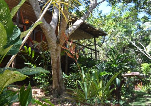 a house in the jungle with a tree at Quinta do Cajú in Ilha de Boipeba