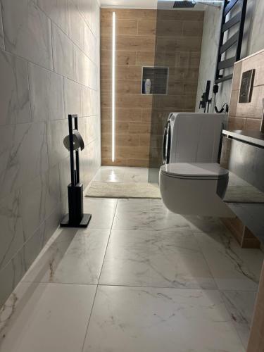 Silver Plus Apartment 1067 Budapest, 39 Teréz körút fszt 6. kép - 3
