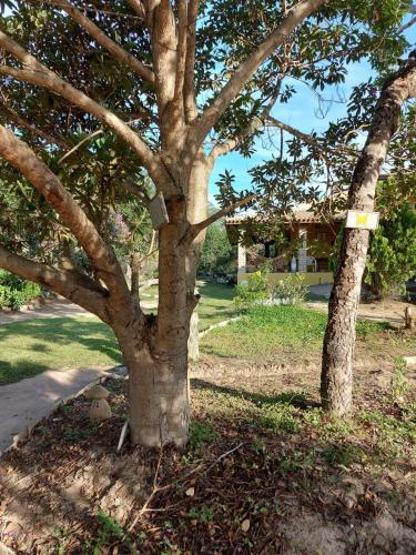 Taman di luar Chale Trilha Das Aguas