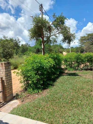 Taman di luar Chale Trilha Das Aguas