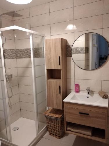 une salle de bain avec une douche, un lavabo et un miroir dans l'établissement Elegant F1 proche tramway et plage, à Nice