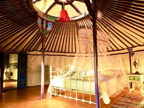 Exclusive Nirvana yurts Glamping, Като Дрис – Обновени цени 2023