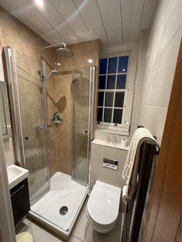 a bathroom with a shower and a toilet at Vane House in Osmotherley