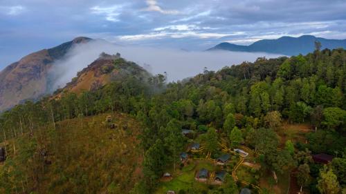 an aerial view of a mountain with fog in the forest at Nature Zone Jungle Resort in Munnar