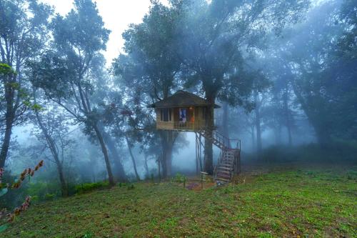 a tree house in the middle of a forest at Nature Zone Jungle Resort in Munnar