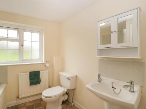 a white bathroom with a toilet and a sink at Primrose Cottage in Westbury