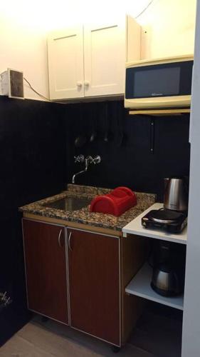 encimera de cocina con fregadero y microondas en TANGO ARGENTINO en Buenos Aires