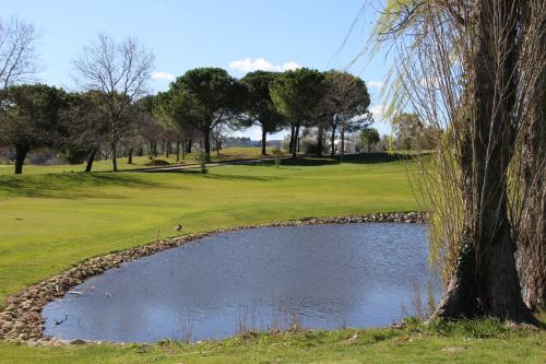 a pond in the middle of a golf course at Prati di Maja B&B in Miglianico