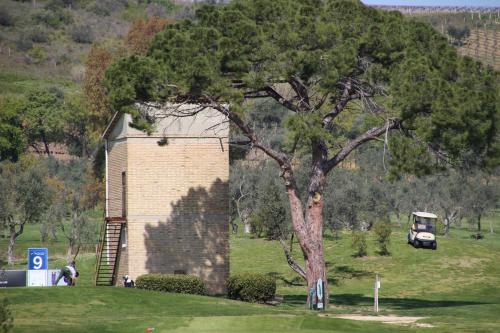 a truck parked next to a tree next to a building at Prati di Maja B&B in Miglianico