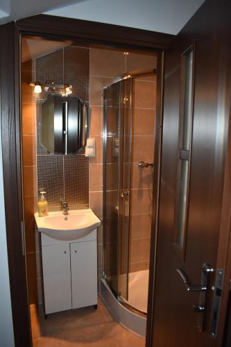 a bathroom with a shower and a sink at Agrowilla Kozłówek in Kozłówek