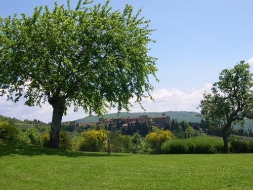 a tree in a field with a building in the background at La Locanda Volpaia in Radda in Chianti