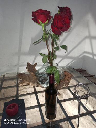 Un jarrón con dos rosas en una mesa. en NarniAlloggi Casa Vacanze, en Narni