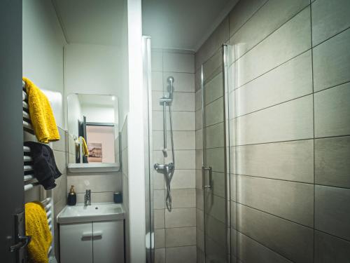 a bathroom with a shower and a sink at Le P'tit Jeanne d'Arc Logements Insolites in Nancy