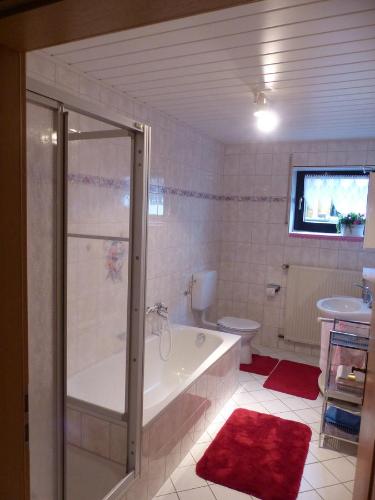 a bathroom with a shower and a tub and a toilet at Ferienwohnung Eifelluft in Daun