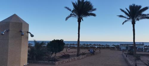 a view of a beach with palm trees and the ocean at Happy Life Village Dahab in Dahab