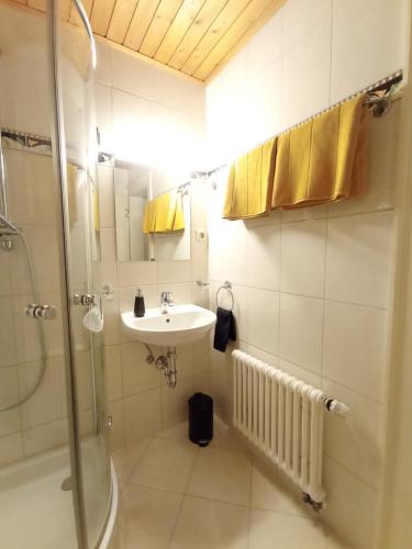 a bathroom with a sink and a shower at Obergeschoss - Katharina von Berg in Rottweil