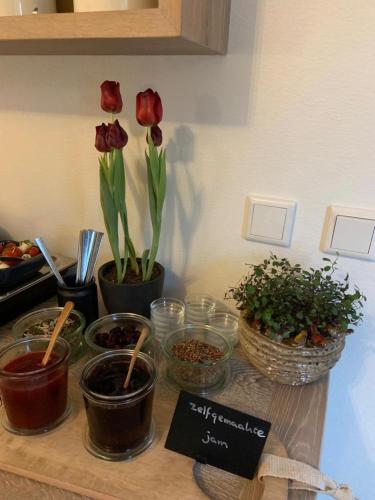 Φωτογραφία από το άλμπουμ του B&B Witvliet, kamers en studio met heerlijk ontbijt ! σε Zoutelande