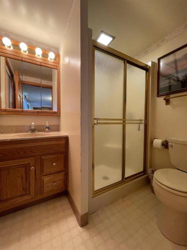 La salle de bains est pourvue d'une douche, de toilettes et d'un lavabo. dans l'établissement LOON LODGE LIMIT 8 home, à Standish