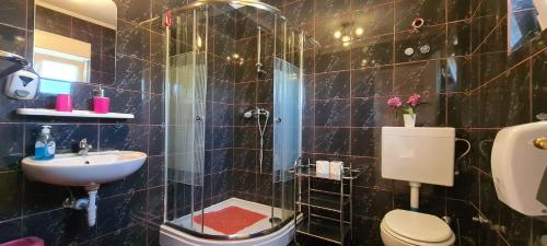 uma casa de banho com um chuveiro, um WC e um lavatório. em Villa Ivana em Dol