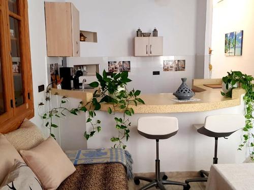 a kitchen with two stools and a counter with plants at SARA HOUSE NADOR in Nador