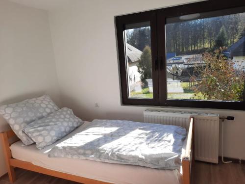 a bed in a room with a large window at Erholungsheim im Wienerwald in Irenental