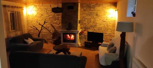 a cat standing in a living room with a fireplace at Quinta do Torgal - Alojamento Local in Unhais da Serra