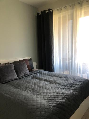 um quarto com uma cama grande e uma janela em ‘Audronė’ svečių namai em Palanga