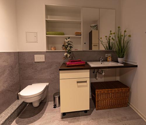 La salle de bains est pourvue de toilettes et d'un lavabo. dans l'établissement Ferienwohnung Einraum Apartment Pusteblume, à Eilenburg
