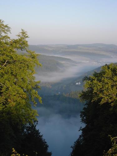 a view of a lake with fog in the valley at Ferienwohnung Eifelluft in Daun