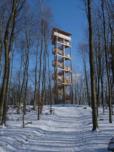 a tall tower in the middle of a snow covered forest at Ferienwohnung Eifelluft in Daun