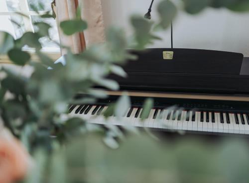 a close up of a piano with a plant at Apartments Možinetova hiša in Šentjošt nad Horjulom
