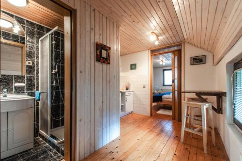 a bathroom with a sink and a shower in a room at Holiday Chalet near Bled 