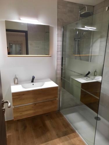 a bathroom with a sink and a shower at Loft Spa Led & bo in Thaon-les-Vosges