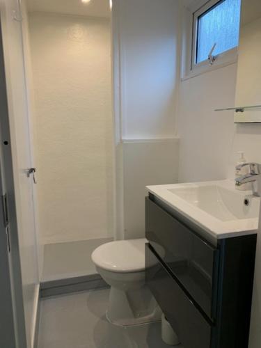 een witte badkamer met een toilet en een wastafel bij Het Berkenhuisje in Putten, huisje op de Veluwe in Putten