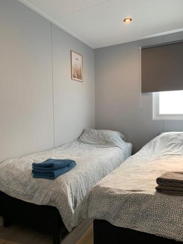 een slaapkamer met 2 aparte bedden en een raam bij Het Berkenhuisje in Putten, huisje op de Veluwe in Putten
