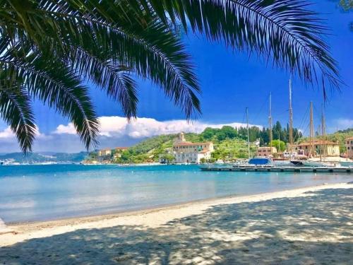 a view of a beach with a palm tree at Il Profumo Dellegrazie in Le Grazie
