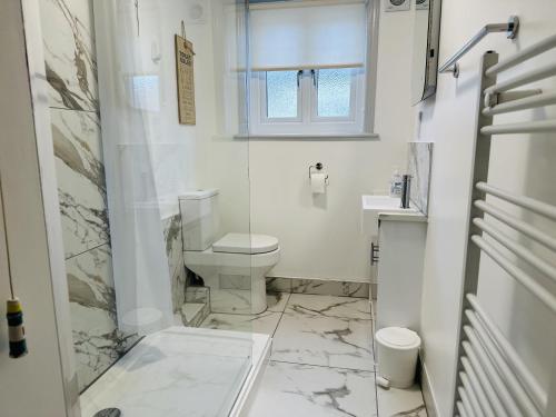 a white bathroom with a toilet and a window at Bayards - Pet Friendly, Central Dartmouth in Dartmouth